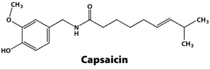 capsaicin trong ot