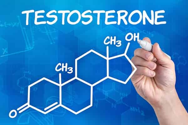 hoa hoc cua testosterone 1