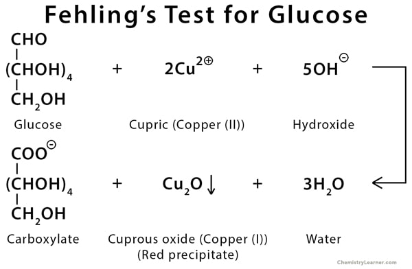 Fehlings Test Glucose