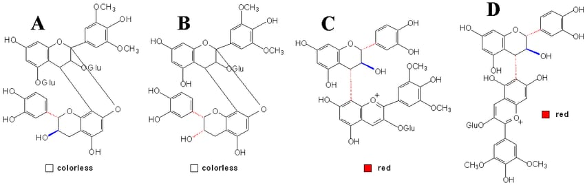 Structures of the condensed products of anthocyanin and flavan 3 ols 57 58 81 min