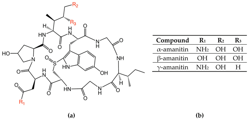 Chemical structures of the amatoxin variants examined in this paper a molecular.ppm min