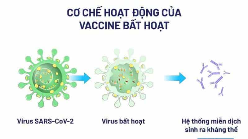 vaccine sinopharm cua trung quoc min edited