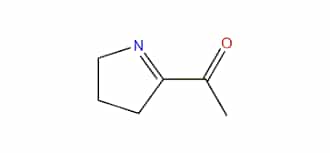 2 Acetyl 1 pyrrolin