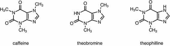 Chemical structures of caffeine theobromine and theophylline